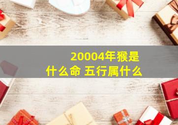 20004年猴是什么命 五行属什么